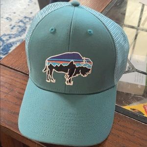 Patagonia Fitz Roy Bison LoPro Trucker Hat